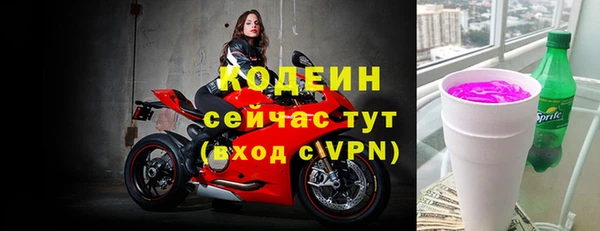 СК Новозыбков
