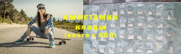 сатива Беслан