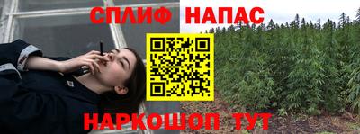 сатива Балахна