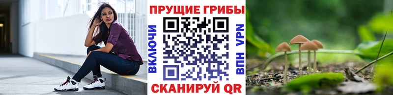 Псилоцибиновые грибы GOLDEN TEACHER  Новоалександровск 