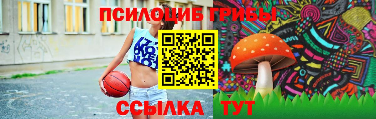 Псилоцибиновые грибы прущие грибы Новоалександровск